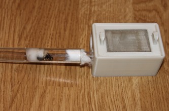 Aire de chasse fourmis