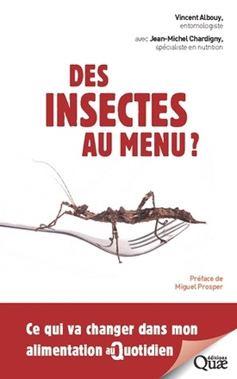 Des Insectes au Menu