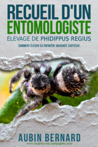 Couverture du livre Recueil d&rsquo;un Entomologiste – Élevage de Phidippus regius