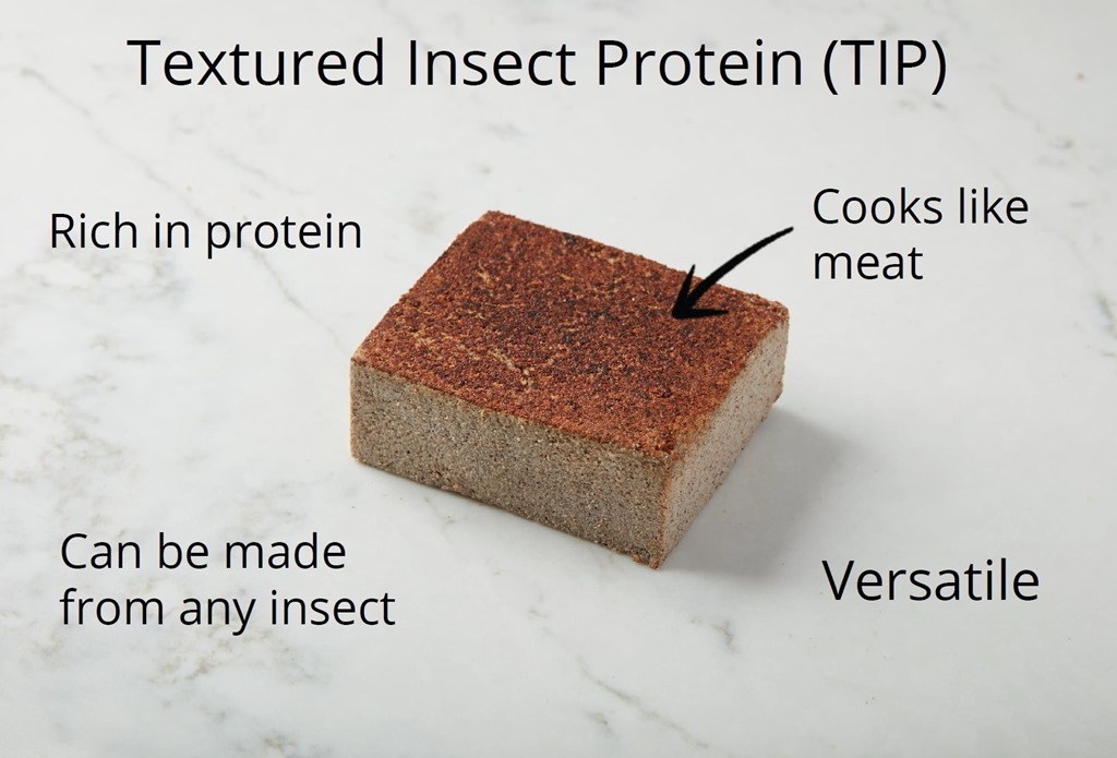TIP de C-fu Foods, alternative à la viande à base d'insectes