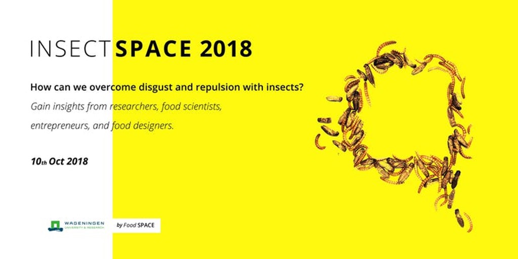 Symposium Insect Space 2018 aux Pays-Bas