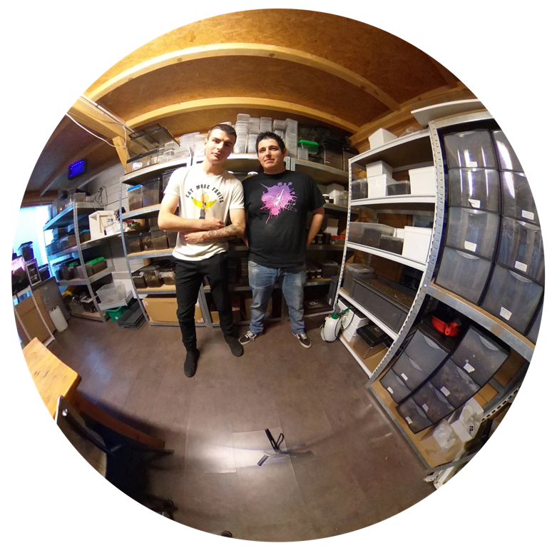 Beetles House Selfie Beetles House Selfie