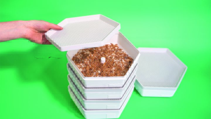 Module d'élevage pour vers de farine en plastique empilable