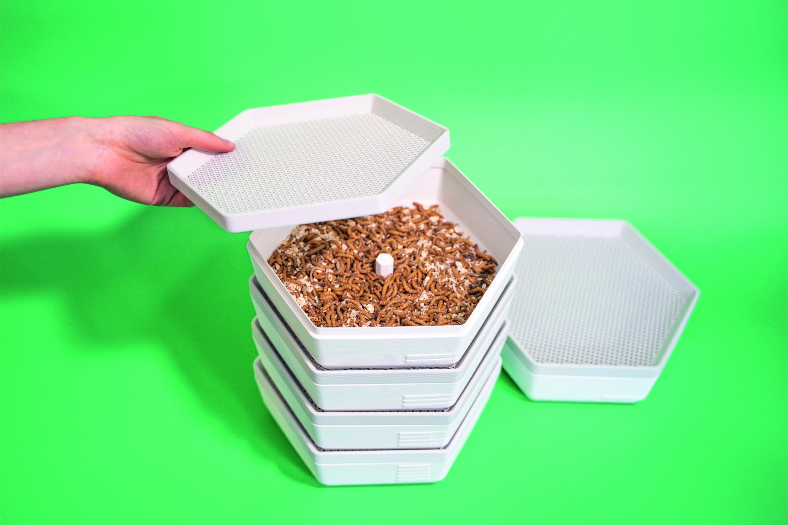 Module d elevage de vers de farine a etages superposes en plastique recycle