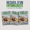 Recueil d'un Entomologiste - Elevage de cétoines
