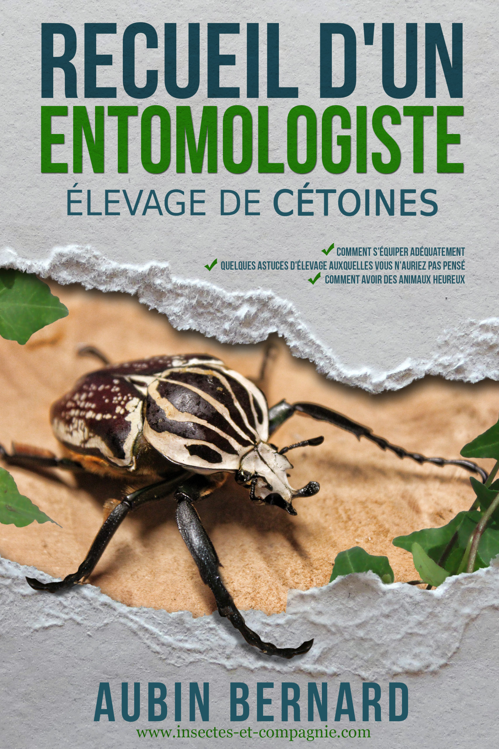 Couverture du livre Élevage de cétoines par Aubin Bernard