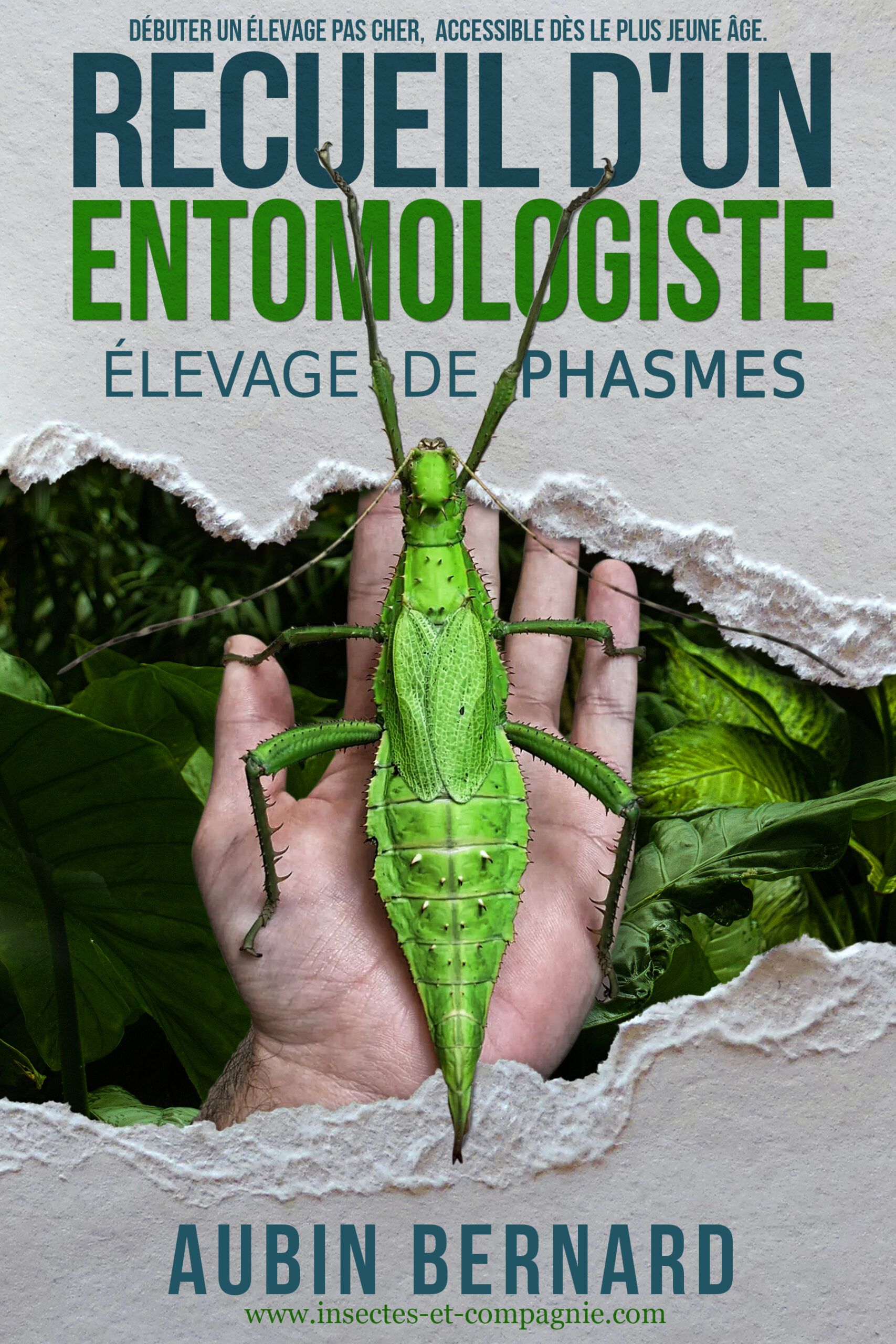 Couverture du livre Élevage de phasmes par Aubin Bernard
