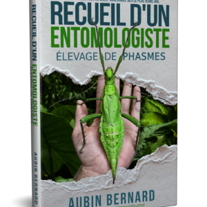 Couverture du livre Recueil d'un entomologiste - Elevage de Phasmes