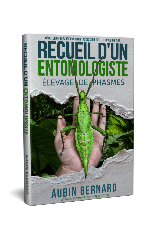 Couverture du livre Recueil d'un entomologiste - Elevage de Phasmes Couverture du livre Recueil d'un entomologiste - Elevage de Phasmes