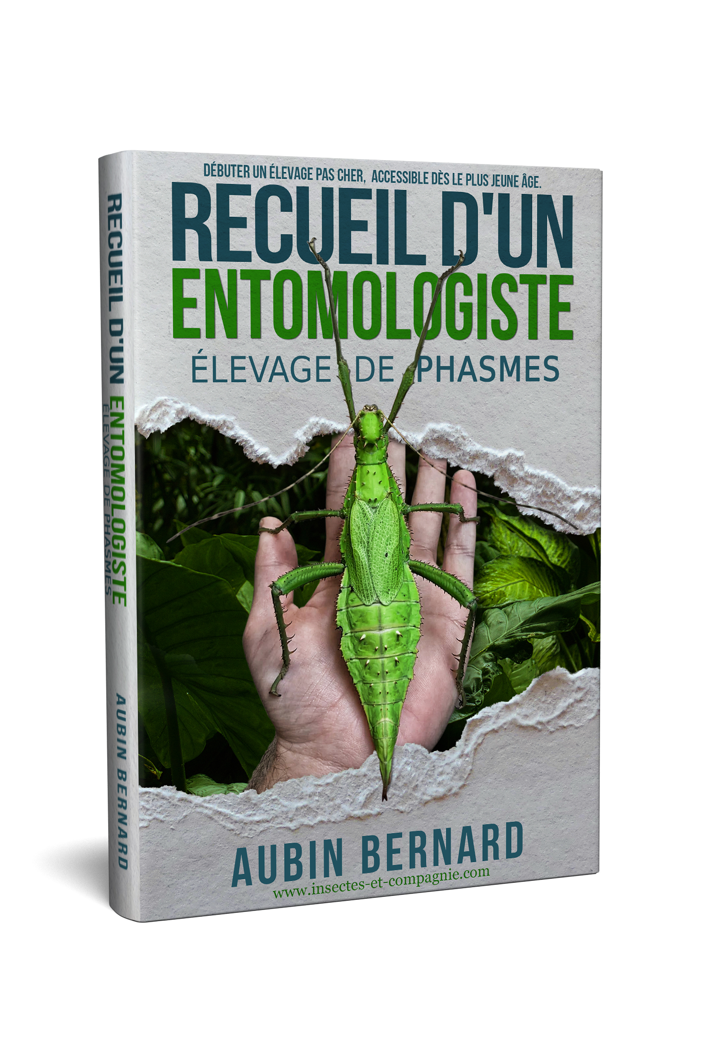 Livre Recueil d’un Entomologiste – Élevage de Phasmes