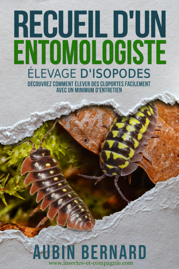 Recueil d'un Entomologiste - Elevage d'isopodes Couverture du livre Recueil d'un Entomologiste - Elevage d'isopodes (guide complet sur les cloportes)
