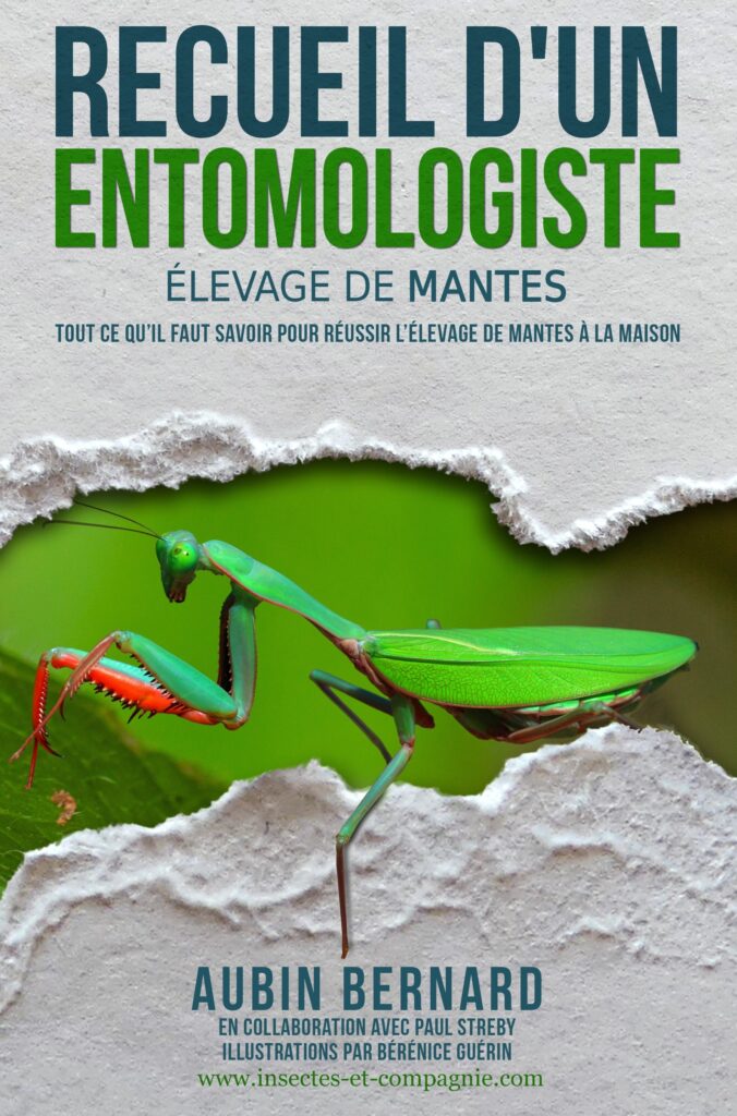 Couverture du livre Recueil d&rsquo;un Entomologiste – Élevage de Mantes