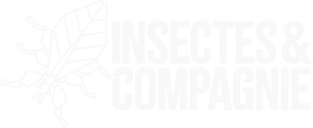 Logo site web Insectes et Compagnie