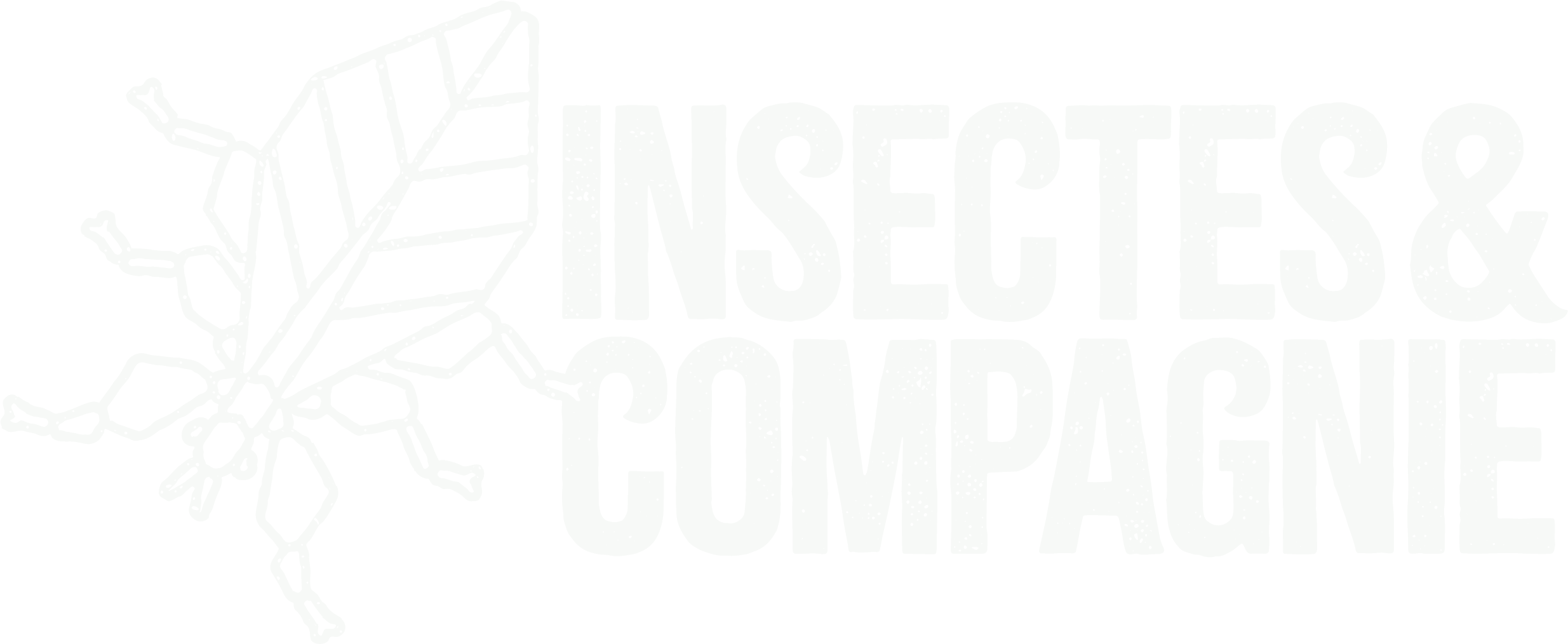 Logo site web Insectes et Compagnie