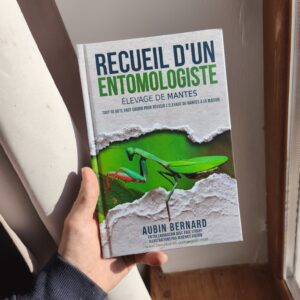 Recueil d'un Entomologiste : Élevage de Mantes