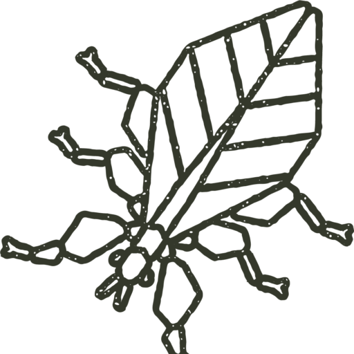 Insectes et Compagnie logo