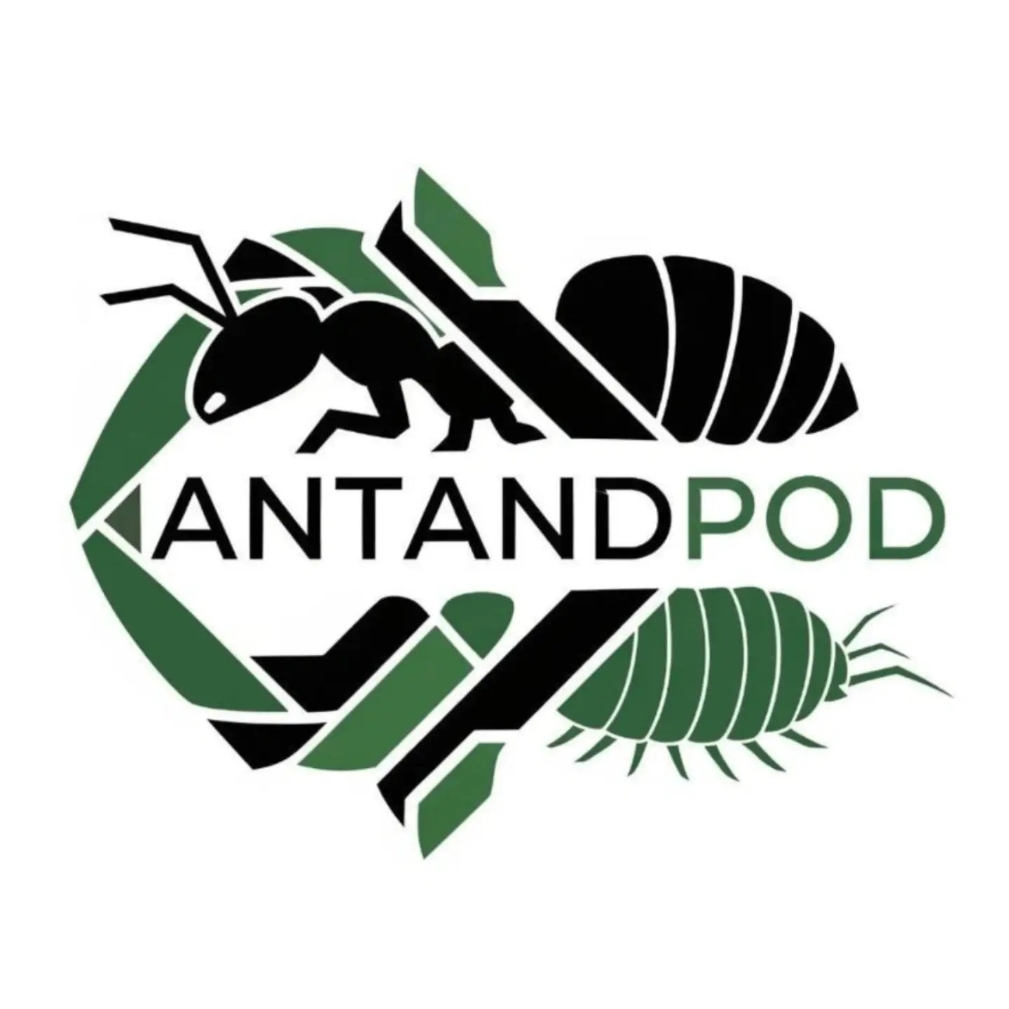 Logo de la boutique Ant and Pod