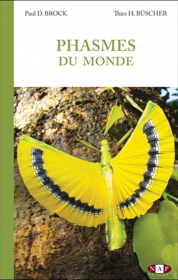 Couverture du livre Phasmes du Monde